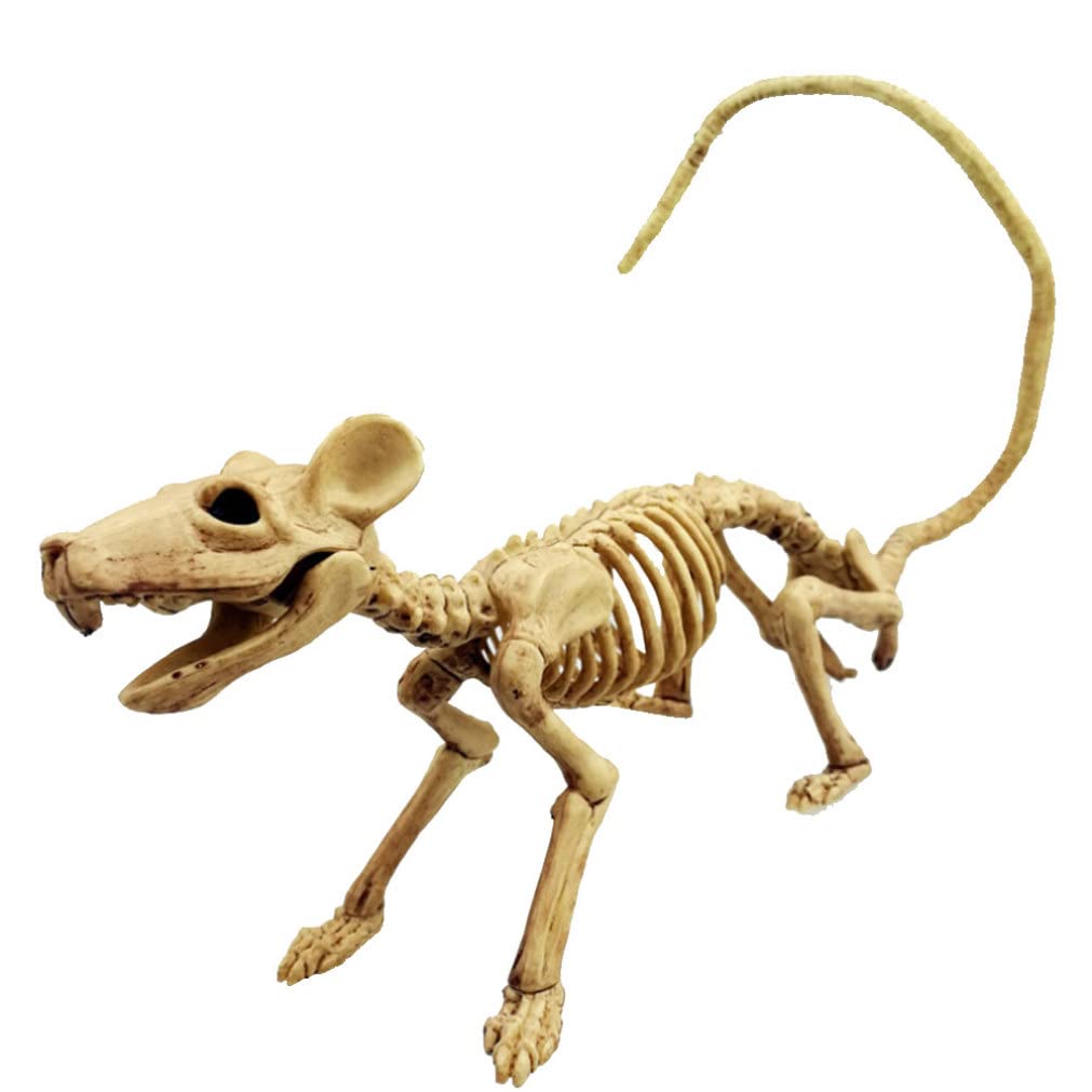Jorzer 1Pc Skeleton Rat Rat Skeleton For Halloween Decorations 9X1.9x2.7 Inch Skeleton Rat Plastic Skeleton Halloween Decorations Halloween Props For Haunted House Prop