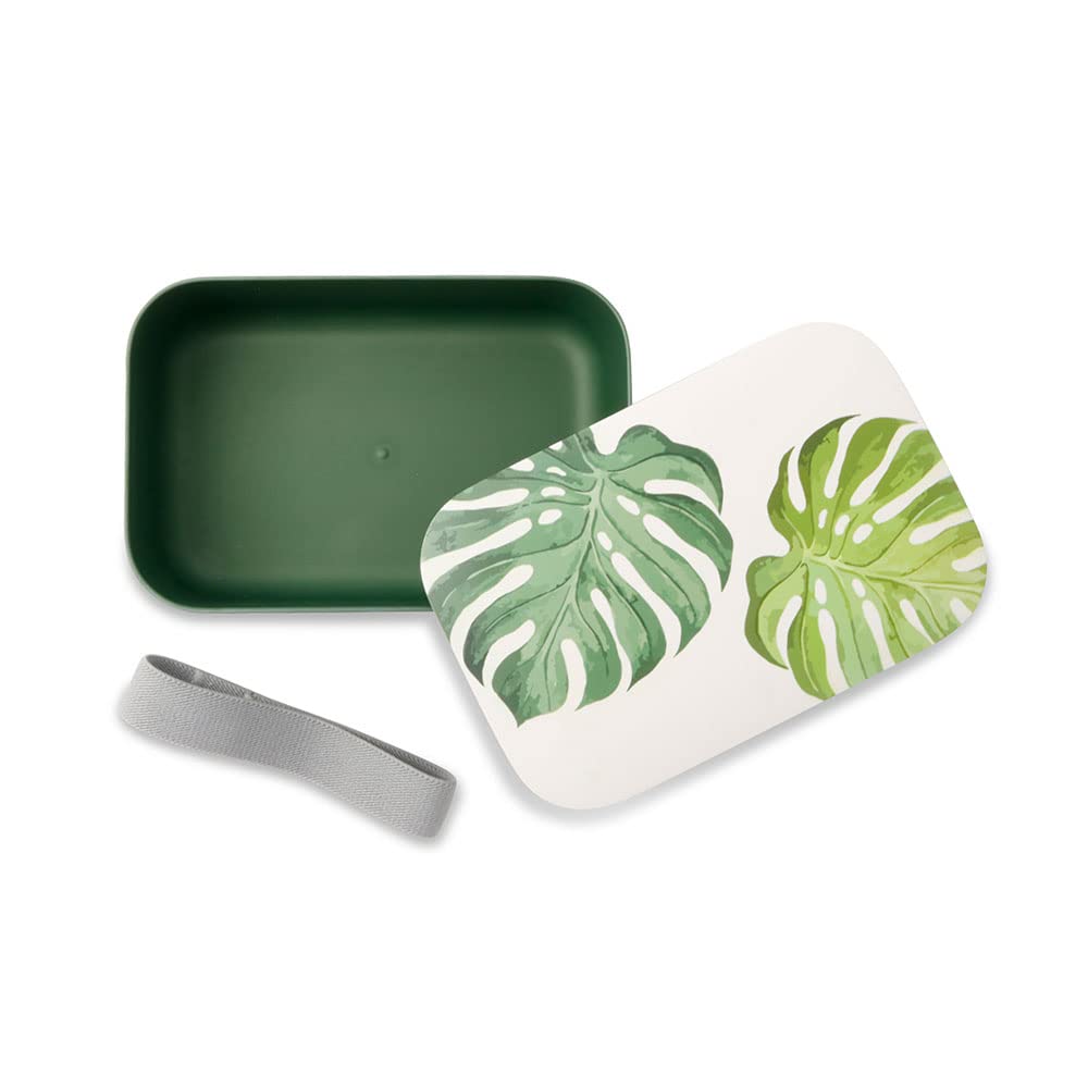 BIOZOYG 24x PLA fiambrera caja decorativa, contenedor biodegradable para llevar, jardín de infantes 18,8x12,5x6,3cm