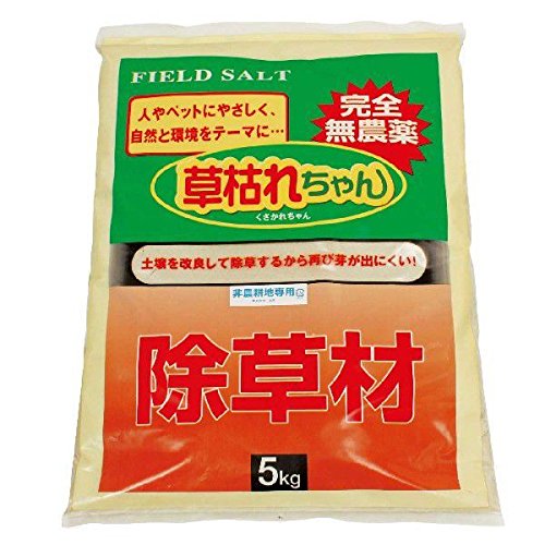 801544 _򏜑ށ@͂ꂿ T