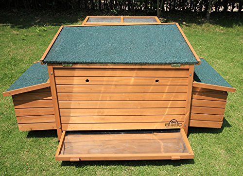 Pets Imperial® Balmoral Hühnerstall - Doppelnistkasten & 1,4 m Auslauf - Großer Hühnerstall mit öffnendem Dach – Bild 5