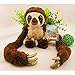 Ggwdhudta En la Imagen se Muestra el Loco y Original Mono cinturón Croods muñeco de Peluche Mono de Brazos Largos Pequeño 65 cm