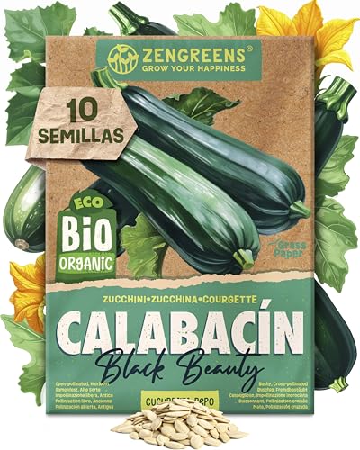 ZenGreens® - Semillas de calabacínbio - verduras para cultivar fácilmente en el jardín, balcón o parterre elevado - hortalizas - zapallos, cocozelle, zucchini - black beauty
