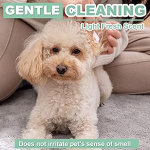   Air-Jungles-3in1-Pet-Wipes-for-Dogs-and-Cats-100-Count-8-x-10-Extra-Large-Hypoallergenic-Cleaning-Grooming-Deodorizing-Wipes-for-Pets-Paws-Body-Face-Ear-Butt