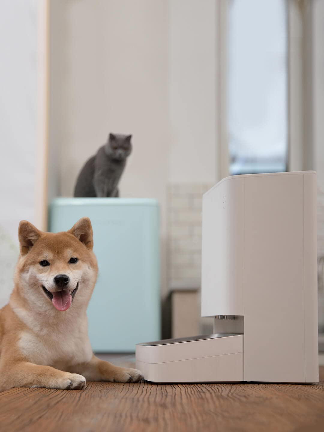 XIAOWAN - Distributore automatico di cibo per cani, Dispenser cibo per animali domestici, controllo remoto con app Xiaomi Home, erogazione programmabile