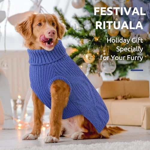 Queenmore Pullover für kleine Hunde | Warm & Bequem | Stretch Hundepulli | Malteser, Pomeranian, Pudel, Shih Tzu (Blau, S)