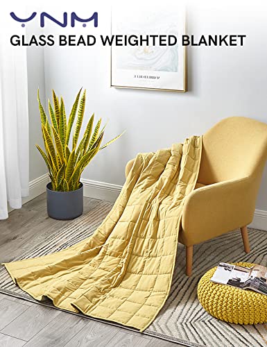 YnM Weighted Blanket —Cotton/Polyester Blend Fabric with Premium Glass Beads (Yellow/Green Reversible, 60''x80'' 20lbs), Suit for One Person(~190lb) Use on Queen/King Bed