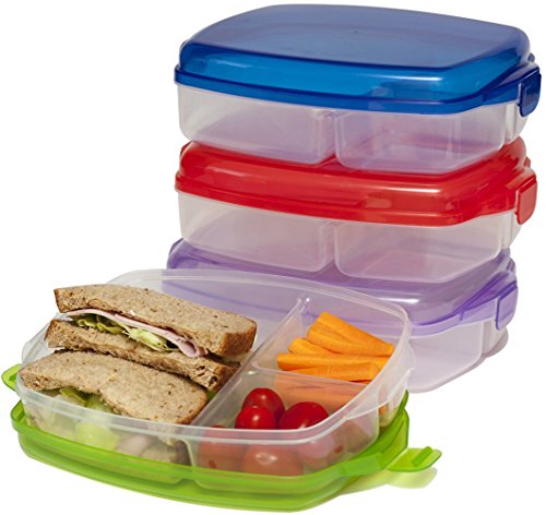 Lunch Box - Large Plastic Bento Boxes, Lunch Boxes Set of 4 - (NON Leakproof - lunchboxes)