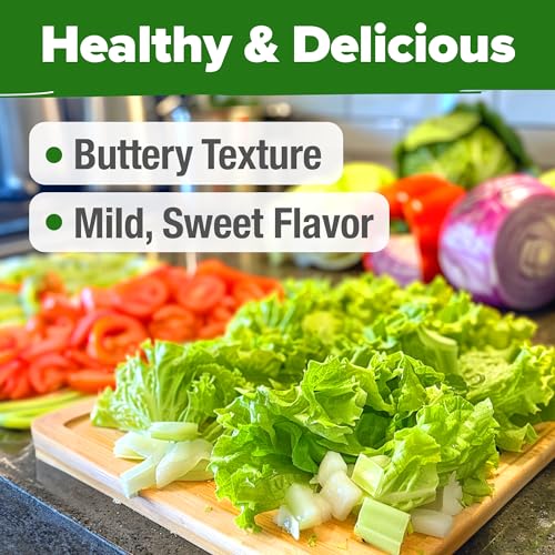 Image of HOME GROWN Buttercrunch Lettuce Seeds 3950+ Bulk Pack Heirloom Non-GMO, High Germination, Bibb Lettuce for Planting, Indoor Outdoor Hydroponic Garden, Heat Tolerant,Year-Round Harvest (Lactuca sativa)