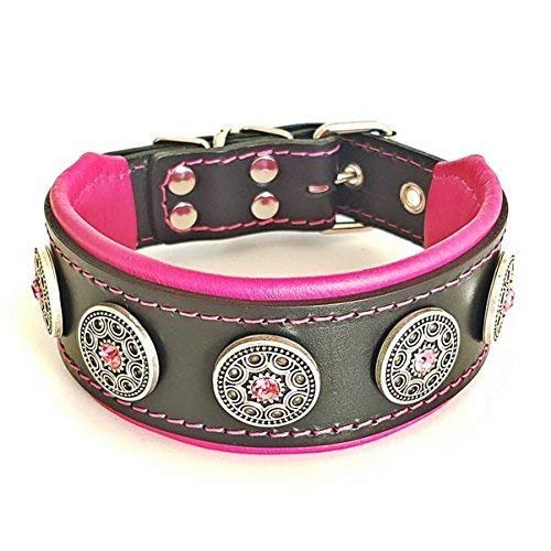 Bestia "Bijou studded leather dog collar. 2 inch wide. Handmade in Europe