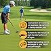 Adjustable Golf Putter, Two-Way Kids Putter for Right & Left Handed, Mini Golf Set for Youth & Junior - 1 Kids Golf Club with 4 Golf Balls & Cup with Flag, Golf Putters for Men for Golfer