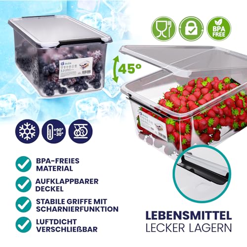 Deuba Aufbewahrungsboxen 4x 5L mit Deckel – Ansicht 8