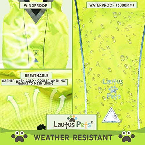 Lautus Pets Wasserdichter Hunderegenmantel, reflektierenden Sicherheitsstreifen & Leinenöffnung – Leichte, jacke für mittelgroße Hunde - M, Gelb