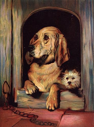 Carteles impresiones Dignità e sfacciataggine de Edwin Landseer en lienzo premium para salones