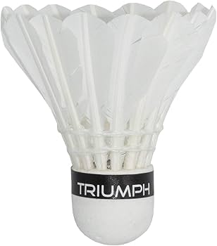 Buy TRIUMPH Badminton Racket, Badminton Shuttle Cock, Badminton
