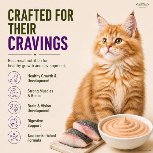 Image of Grain Zero Kitten Wet Mousse 80g Pack of 5, 400g | Ocean Fish | Rich in Protein | Promotes Hydration & Easy to Digest | No Artificial Flavours |Packed with Essential Vitamins & Antioxidants