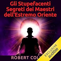 Gli Stupefacenti Segreti dei Maestri dell'estremo Oriente copertina