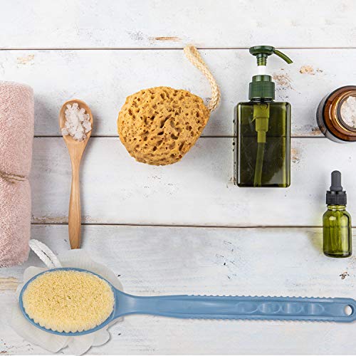 2 Pack Back Scrubber For Shower, Eaone Bath Body Brush With Bristles And Loofah, Loofah On A Stick Back Washer Mesh Sponge Long Handle Exfoliating Body Brush For Men And Women (Blue&White) #TOP6