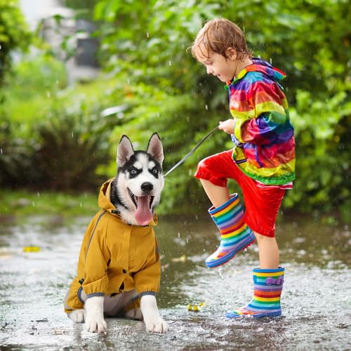 Amexo Regenmantel für Hunde Hunderegenmantel Wasserdichte mit Kragenloch Einstellbare 4-Beine Haustier Poncho Hund Regenmantel mit Kapuze Reflektierendem Streifen für Kleine Mittelgroße Hunde (2XL)