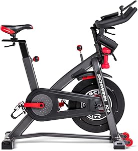 proform exercise bike squeaking
