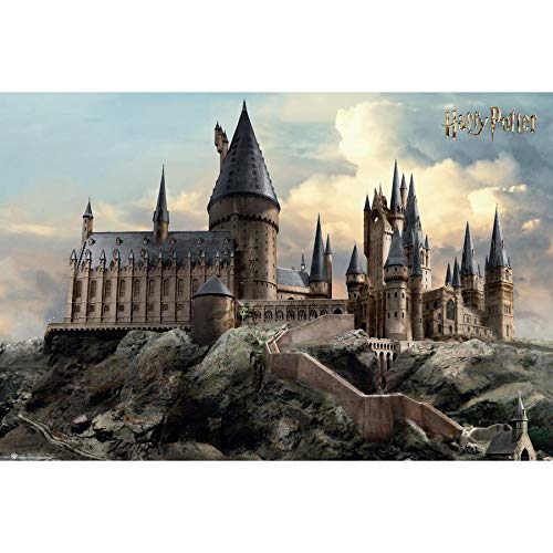 Poster Harry Potter Hogwarts Day affiche 61x91,5cm déco murale chambre ado