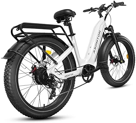 Asomtom 4.0" Fat Tire Electric Bike for Adults, 750W Electric Bike 48V 15Ah Removable Battery Adult Electric Bicycles, 29MPH 60MI Range Ebikes for Adults, 7-Speed Electric Mountain Bike, UL Certified