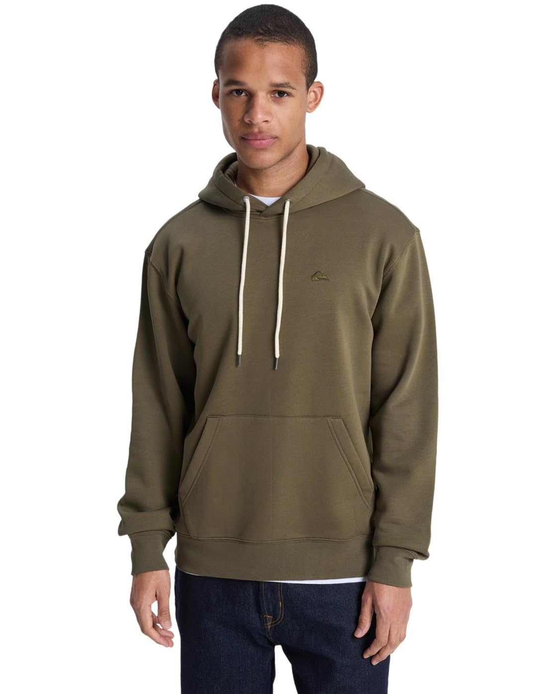 Quiksilver Mens Salt Water Hoodie Pullover Sweater, Grape Leaf, S EU