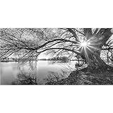 5D DIY Diamond Painting Grande Taille Arbre au bord du lac blanc noir Bricolage Peinture Diamant Foret Complet Kit Broderie Point de Croix Toile Arts Craft Home Décor Murale Gift 50x100cm Round Drill