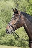  Kieffer Trense Eileen mit Vintage-Optik und Chrom Beschläge, Größe:Vollblut, Farbe:Braun