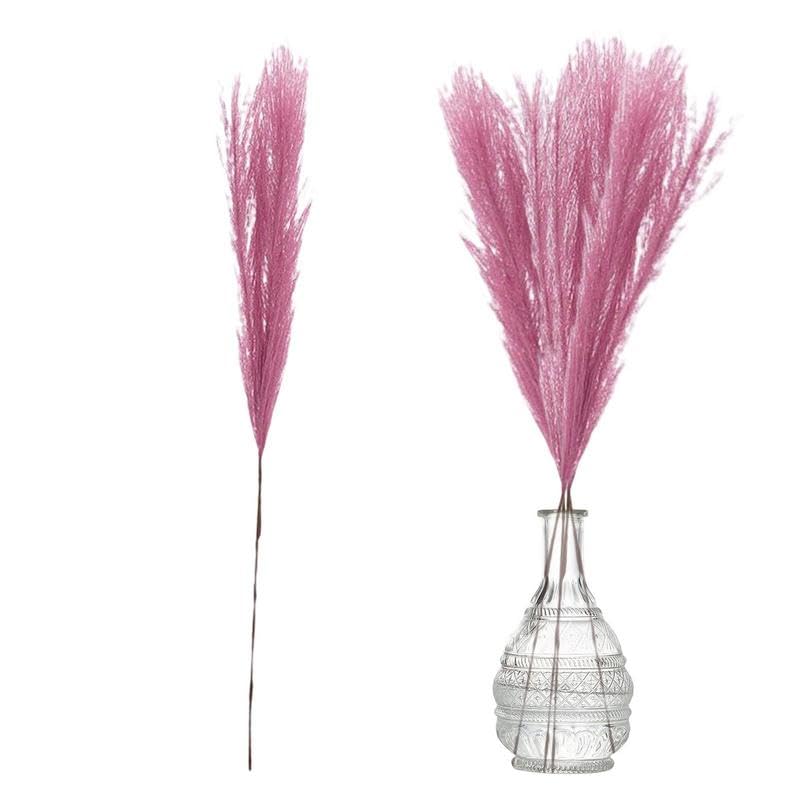 Pampas Grass Large Fall Pampas Grass Decor miniatura 2