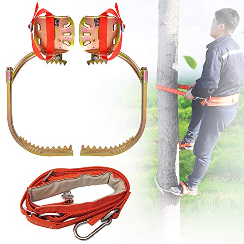 Crampons d'élagage réglables en acier inoxydable avec boucle de pied