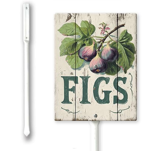 Figs Yard Sign with Stake 12.8" for Garden Label Stakes Plant Markers for Outdoor Plants Waterproof 8x12 inch