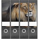 Aufkleber für Aktenordner in hochwertiger Ausführung: Langlebig, blickdicht und haftstark – ideal zur einheitlichen Beschriftung.