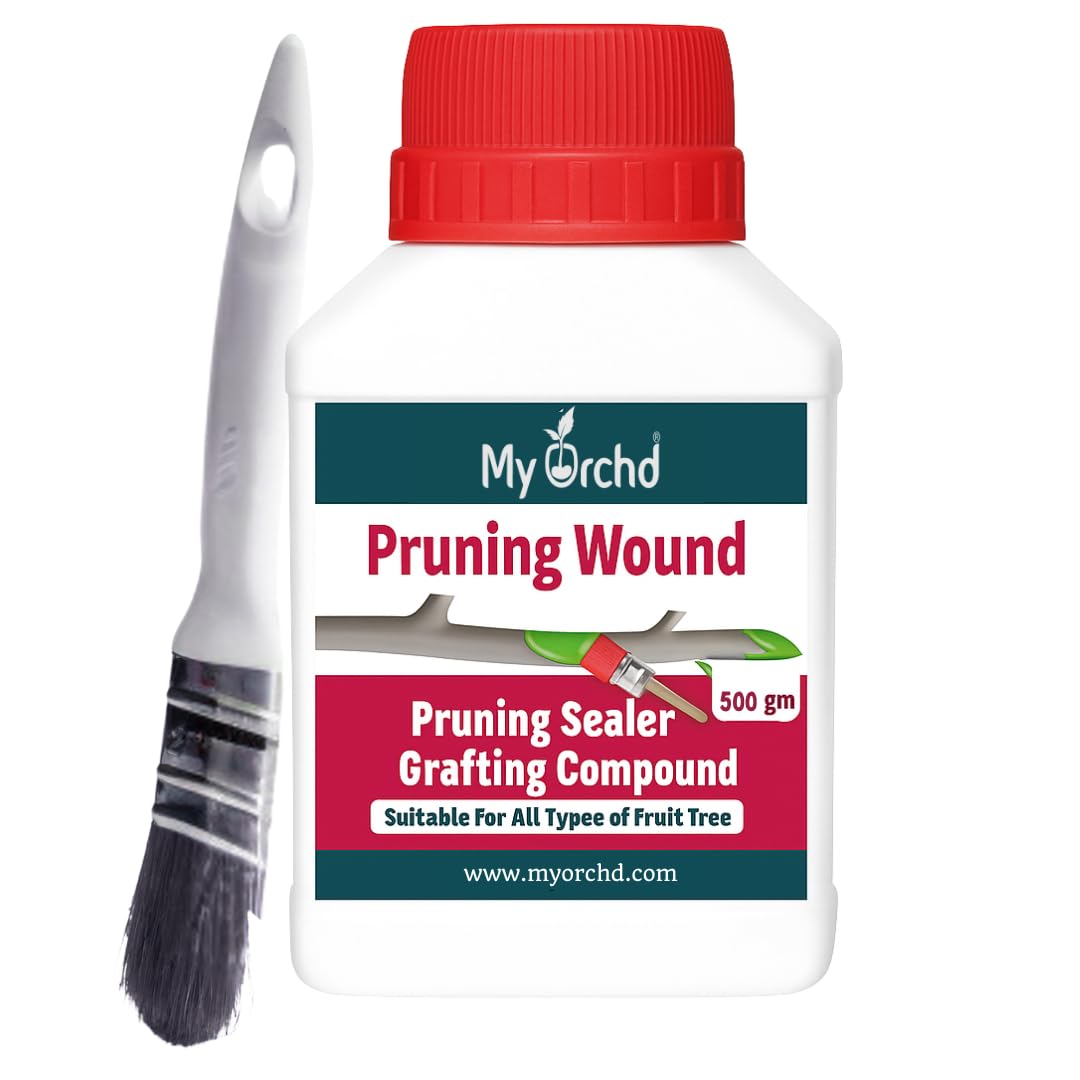 Pruning Sealer | Tree Wound Sealer & Protector | Fast-Drying, Waterproof Pruning Sealer with Brush for Bonsai, Fruit Trees, Home & Garden | Outdoor Living Care | 500Gm (Red Colour)