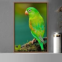 Framed Canvas Wall Art Single Bird Birds Expressive Farmhouse/Country Multicolor Photography Portrait Single - 16x24 inches