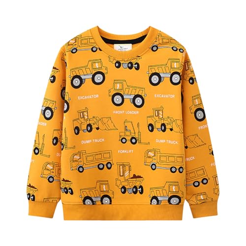 Boys Sweatshirts Casual Sweatshirts Cotton Sweatshirts Long Sleeve T-shirts Crew Neck Cartoon Tops for Boys-750
