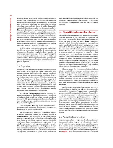 Biologia Molecular Básica