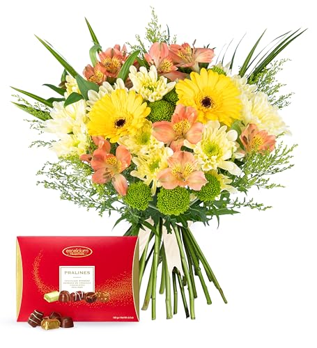 Seasons Joy - Fresh Flowers - Birthday Anniversary Get Well Thank You Occasion Flower - Cut Floral Arrangement for Gifts Weddings Sympathy Celebrations. (+ Chocolates)