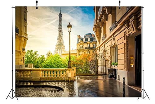 Fondo Fotográfico Paris Torre Eiffel 5x3FT Tela miniatura 4
