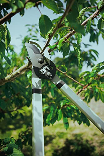 Altuna 2 Hand Pruning Shears, Model J501, Made of Tefloned Steel and Bi-Material Grip, Bypass Cut with Multiplier Hook - Image 3