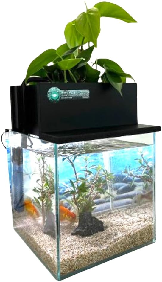 ゼンスイ ZC-200α 水槽クーラーセット ホームセンター 水槽 セット