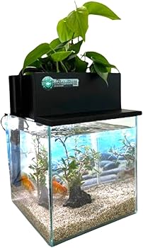 水槽 HIRO Amazon | せせらぎビオトープ 水替え不要【水槽セット】 20cm型 【色