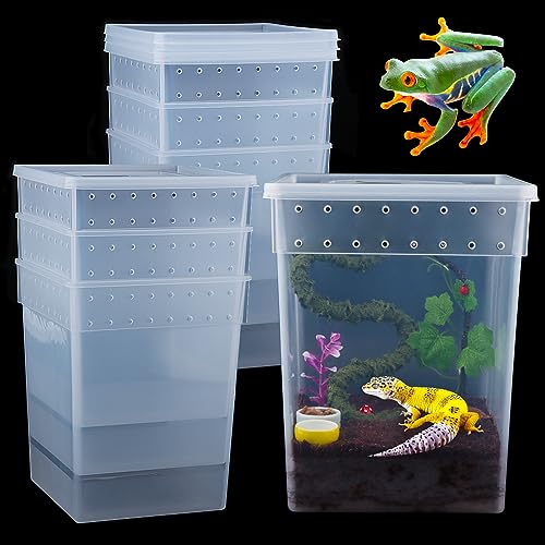 Pacote com 7 caixas de alimentação de répteis tamanho grande Gecko caixa de reprodução transparente