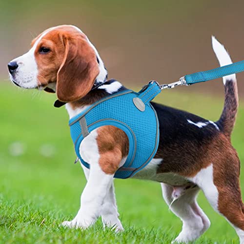 Joytale Step in Dog Harness,Soft Mesh Reflective Breathable Vest Harnesses,Easy Walk Harness with Safety Buckle for Medium Dogs,XL,Sky Blue - Image 2