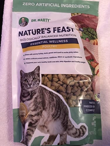 Dr. Marty Natures Feast Essential Wellness Poultry Dry Cat Food 12 oz