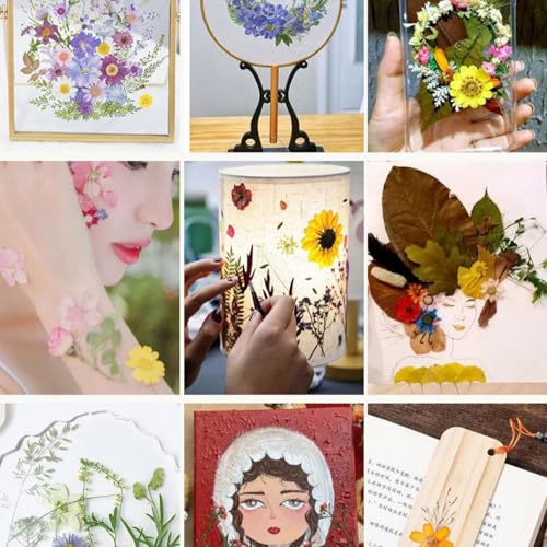 216 piezas Flores prensadas secas para manualidades miniatura 2