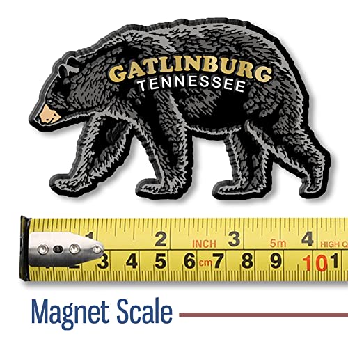 Imán Decorativo Classic Magnets Gatlinburg Black Bear miniatura 2