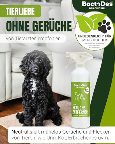 BactoDes Animal Ready Geruchsneutralisierer Spray 1L I Gebrauchsfertiger Enzymreiniger mit aktiver Mikrobenkraft I Tiefenwirksamer Geruchsentferner gegen Tierurin & starke Gerüche