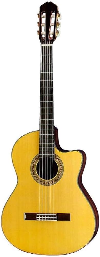 Amazon | K.Yairi CE-3 NS エレガットギター ナイロンエレクトリック