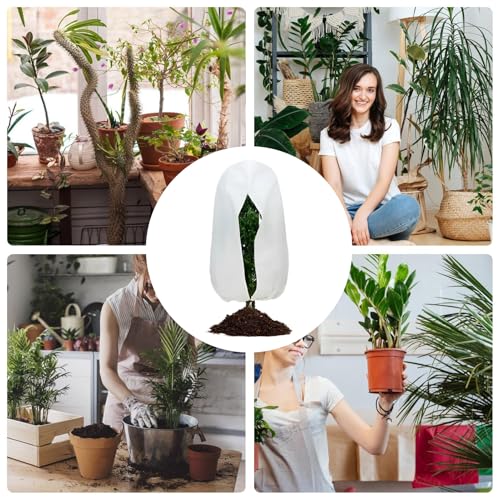 DAWCBVJQ AEghA A p  悯 z | h~AJo[ | fM ی Jo[ Wbp[  Ђ t | 뉀 K[fjO   o   앨 V ʕ k C`WNp