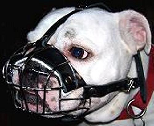 Champion New Metal Dog Muzzle for Boxer and Other dogs with short snout (B3)